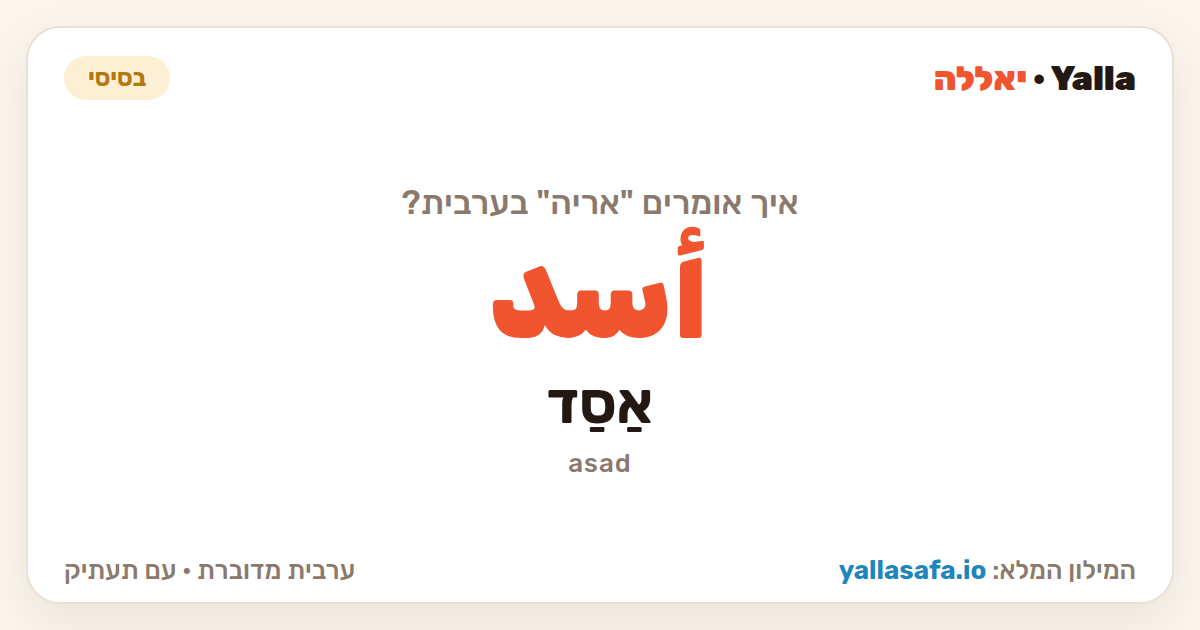 אריה בערבית — أسد (תעתיק: אַסַד)