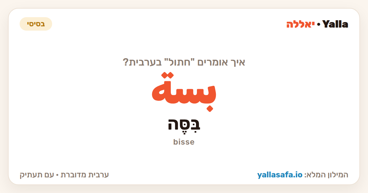 חתול בערבית — بسة (תעתיק: בִּסֶּה)