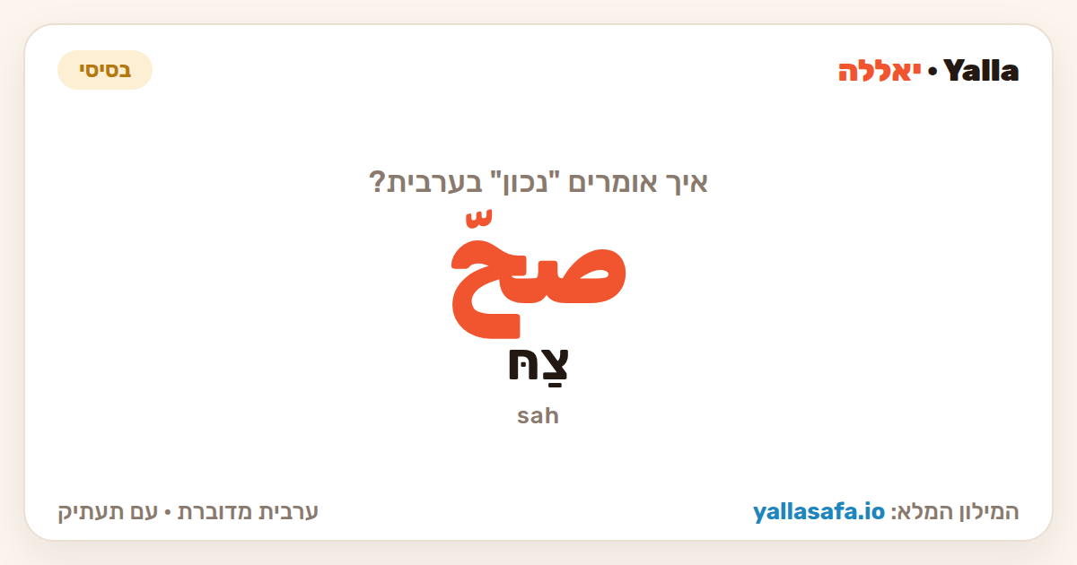 נכון בערבית — صحّ (תעתיק: צַחּ)