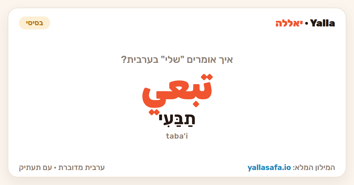 שלי בערבית — تبعي (תעתיק: תַבַּעִי)